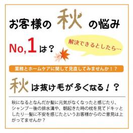 秋は抜け毛が多くなる！？